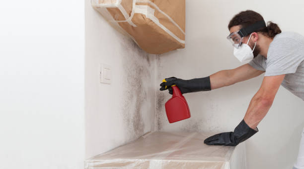 Professional Mold Cleanup technician working in Currituck, NC